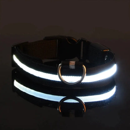 Nylon LED Night Safety Flashing Glow In The Dark Dog Leash